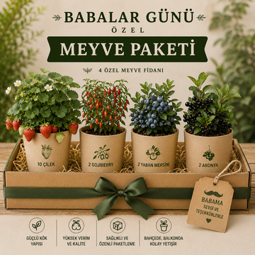 Babalara Özel Meyve Fidanı