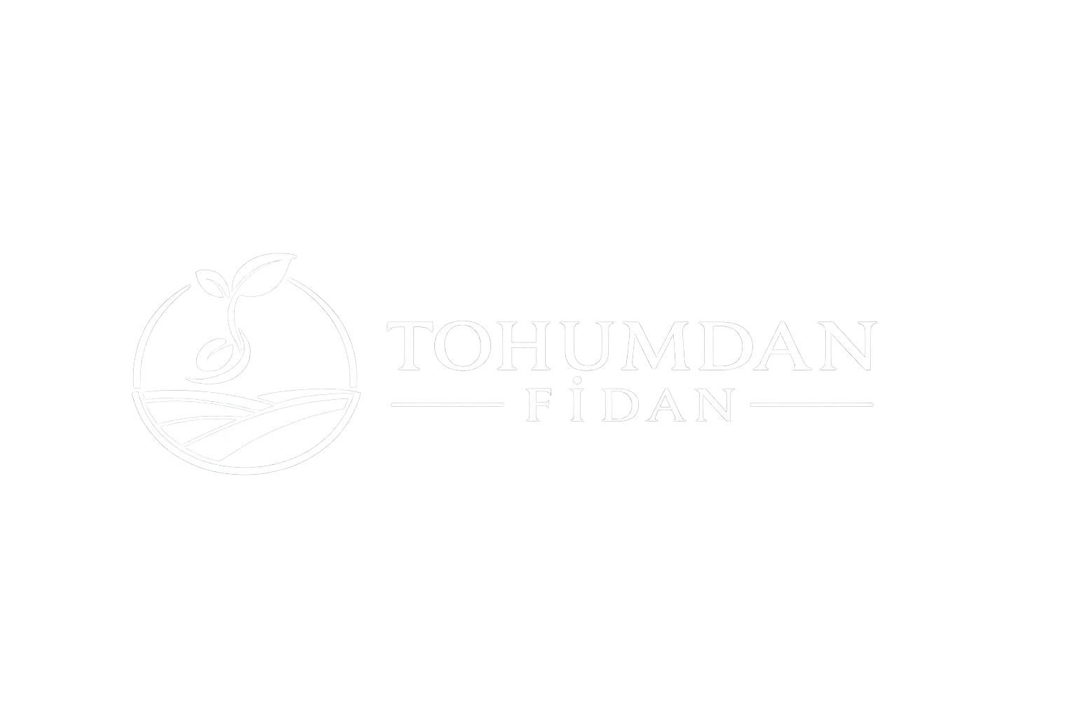 Tohumdan Fidan