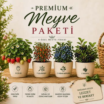 Premium Meyve Paketi