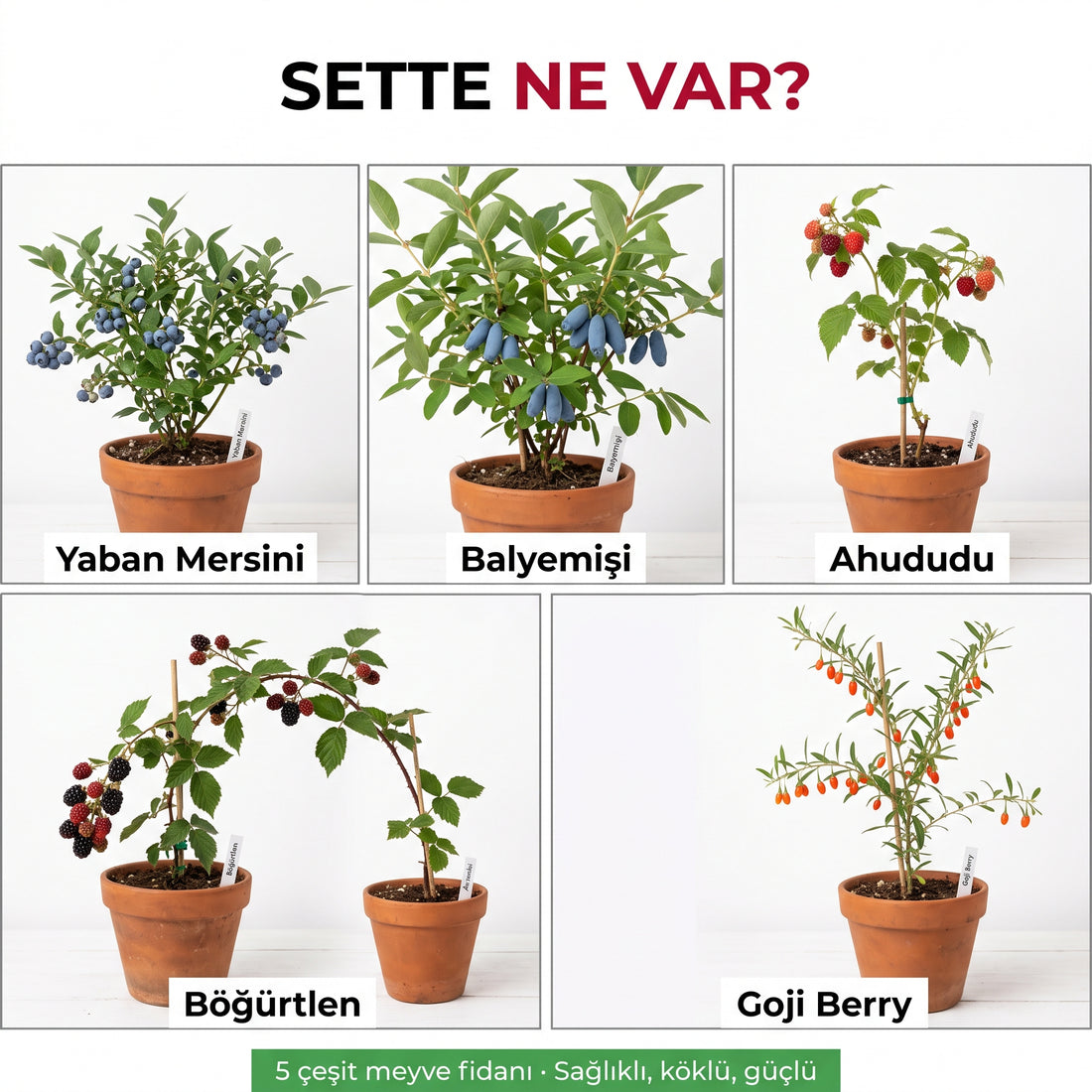 5li Orman Meyveleri Paketi