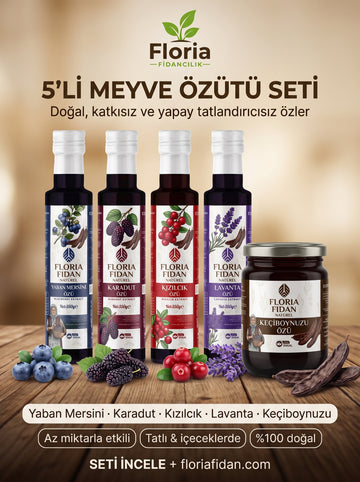 5'li Doğal Özüt Seti