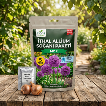 İthal Mor Allium Soğanı — 5'li İthal
