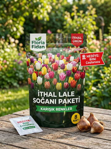 İthal Lale Soğanı Karma Paketi - 1 PAKET 8 FARKLI RENK