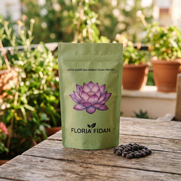 Floria® Lotus Yetiştirme Kiti