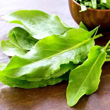 Kuzukulağı (Ekşi Otu) Tohumu