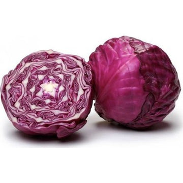 Lahana Tohumu (Mohrencopf - Kırmızı)