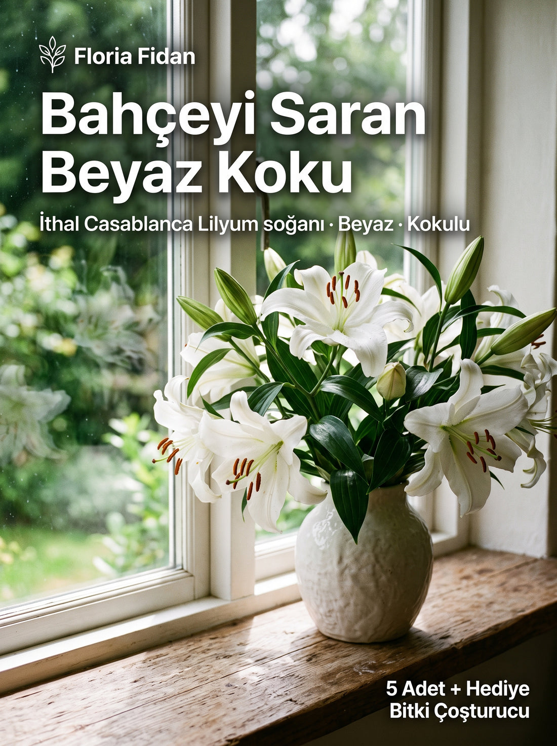 İthal Casablanca Lilyum (Oriental Zambak) Soğanı — Beyaz · Kokulu · 5 Adet